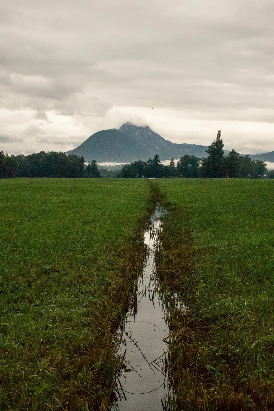 Water-filled furrow leading through a meadow towards a mountain