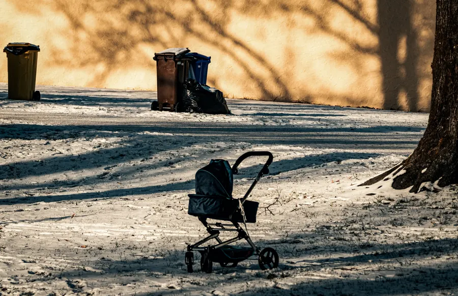 Pram on a snowy path, bins and tree shadows on a sunlit wall